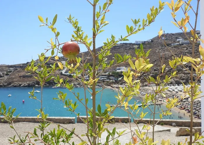 Super Paradise Hotel 2*