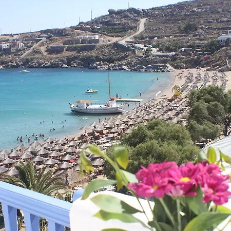 수퍼 파라다이스 스위트 2*